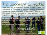 DISCOVER THE VINEYARD